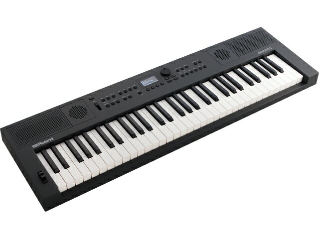 【即納可能】Roland GO:KEYS5 GT [GOKEYS5-GT] グラファイト キーボード デジタルピアノ（新品）【送料無料】【区分G】