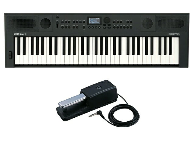 Roland ローランド GOKEYS5-GT + ダンパーペダル DP-10セット グラファイト シンセサイザー