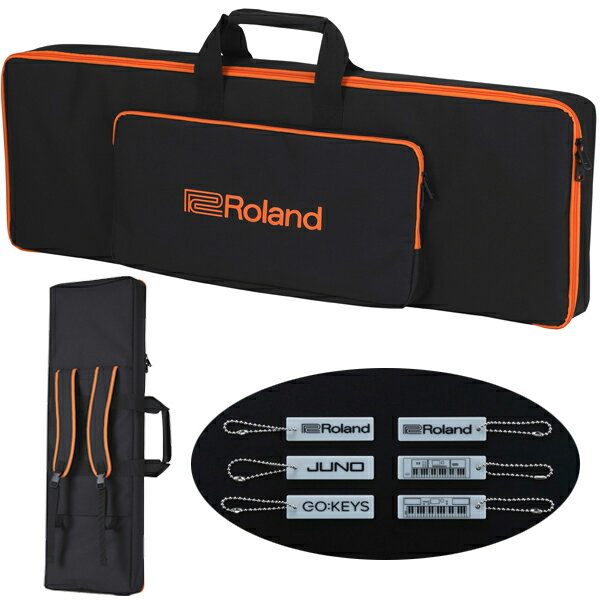 Roland CB-V61 キーボードバッグ【配送区分D】