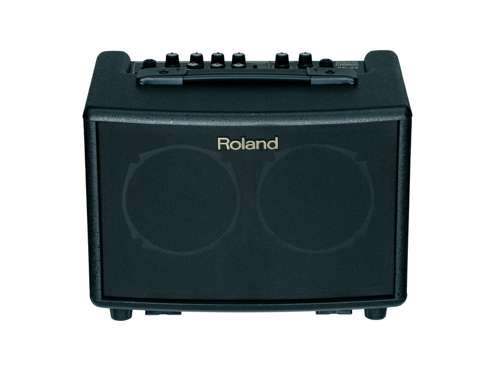 【即納可能】Roland AC-33（新品）【送料無料】【区分C】