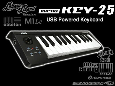 【在庫あり】KORG microKEY-25(新品)【送料無料】