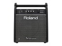 【即納可能】Roland PM-100（新品）【送料無料】【区分F】