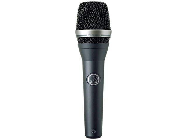 Akg - AKG アーカーゲー C5　コンデンサーマイク