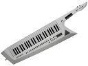 Roland AX-Edge ホワイト AX-EDGE-W ショルダーキーボード【配送区分J】(2)