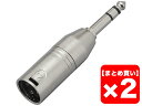 【まとめ買い】TRUE DYNA TDX310 2個セット 変換コネクター【メール便利用】【配送区分YC】