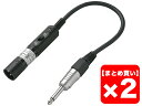 【まとめ買い】TRUE DYNA TDX317 2個セット 変換コネクター【メール便利用】【配送区分YC】