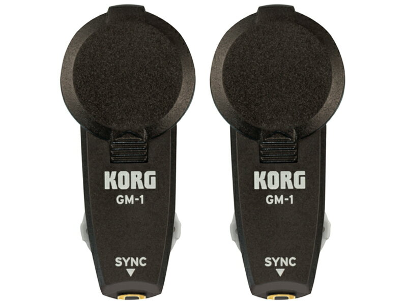 KORG Group Metronome GM-1 2pcsiVijy敪YCz