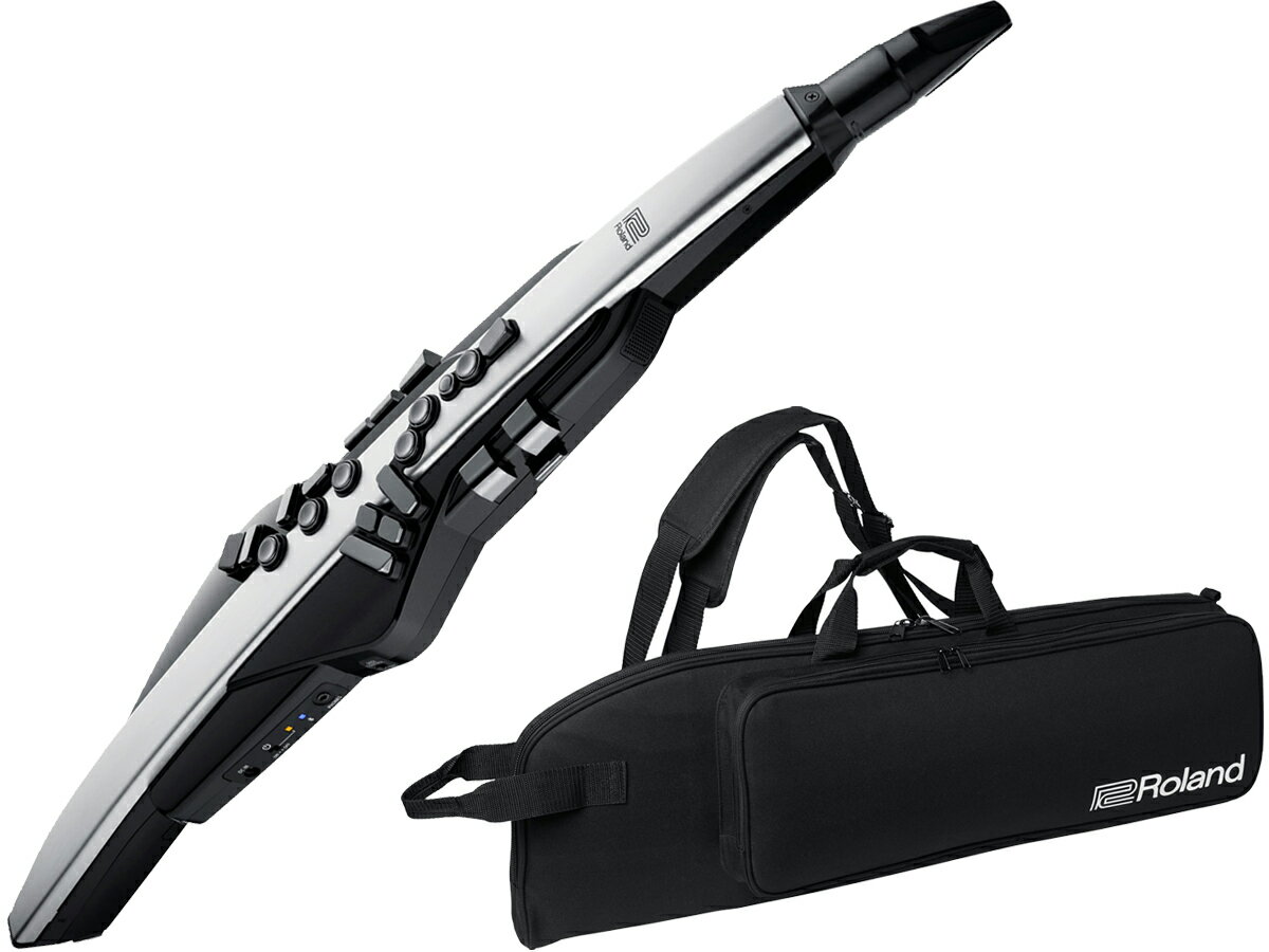 【即納可能】Roland Aerophone Pro AE-30 （新品）【送料無料】【区分E】