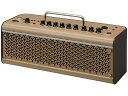 YAMAHA THR30 IIA Wireless ギターアンプ【配送区分D】