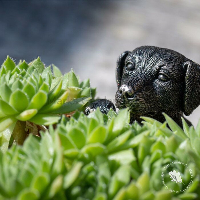 【ポットバディーズ アンティークブロンズ：ラブラドール】