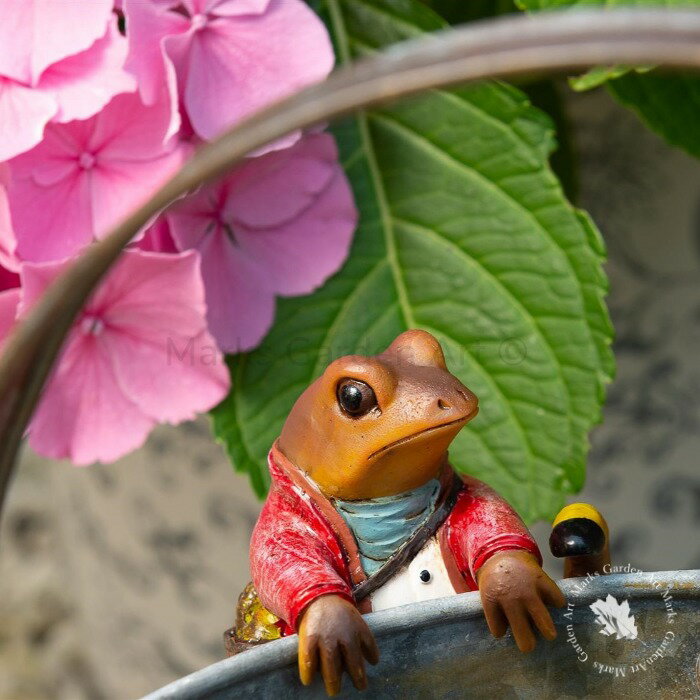 【ポットバディーズ ビアトリクスポッター：ジェレミー・フィッシャー】