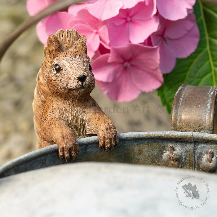 【ポットバディーズ ビアトリクスポッター：赤りすナトキン】