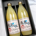 青森県産 飛馬りんごまるごとジュース 2本(化粧箱入) ギフト プレゼント 健康 美容 美肌 果物 くだもの フルーツ お礼 お祝い お返し 景品 お誕生日 誕...