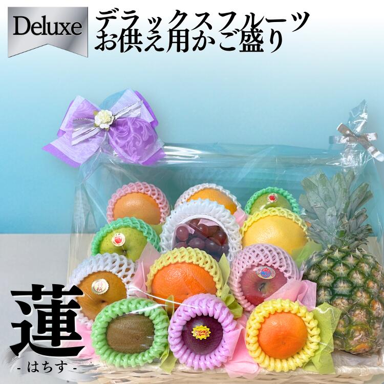 ̵۸涡ե롼ĥå[--]10,000ߡڤޤ󥸥ȡ[涡][ˡ]ڳڥ_ۡڳڥ_Τۡڳڥ_Τۡڳڥ_åۡڳڥ_åϡ