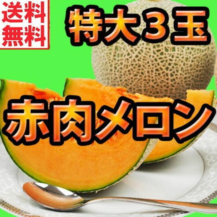 [ギフト][送料無料]茨城県産　赤肉メロン☆秀品☆ 特大　3玉入[クインシー][アンデス][タカミ][レノン][ルピアレッド][お盆][御盆][新盆][初盆][お中元][御中元][お誕生日][暑中見舞い][暑中見舞][残暑見舞い][残暑見舞][敬老の日][おじいちゃん][おばあちゃん][祖母]