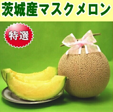 륢륹2
