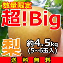 『超！Big』梨【送料無料】5〜6玉(約4.5kg)産地「茨城」より発送！[バレンタインデー][ホワイトデー][退職祝][送迎会][母の日][ひな祭り][こどもの日][お誕生日][プレゼント][贈答][贈り物]