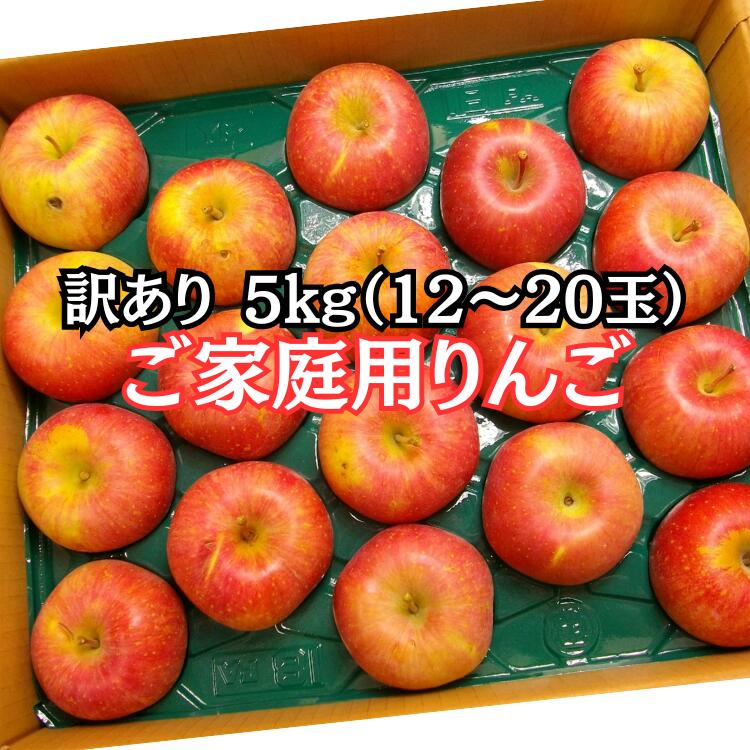 ご家庭用 りんご 送料無料 品種・サイズおまかせ 約5kg 中玉〜大玉 (12〜20玉入)