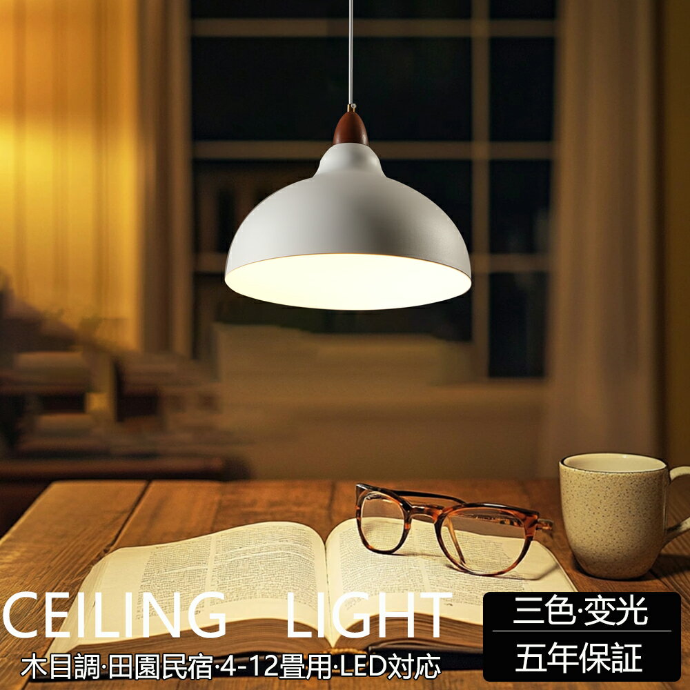 乐天商城 - 【新生活】【5年保証】ペンダントライト おしゃれ ガラス 1灯 吊下げ灯 木目 電球色 天井照明 間接照明 北欧 LED電球 洋風 キッチン 照明器具 トイレ 階段 ダクトレール用 電気 モダン かわいい リビング ダイニング インテリア照明 食卓 和室 癒やし 省エネ 三色変光
