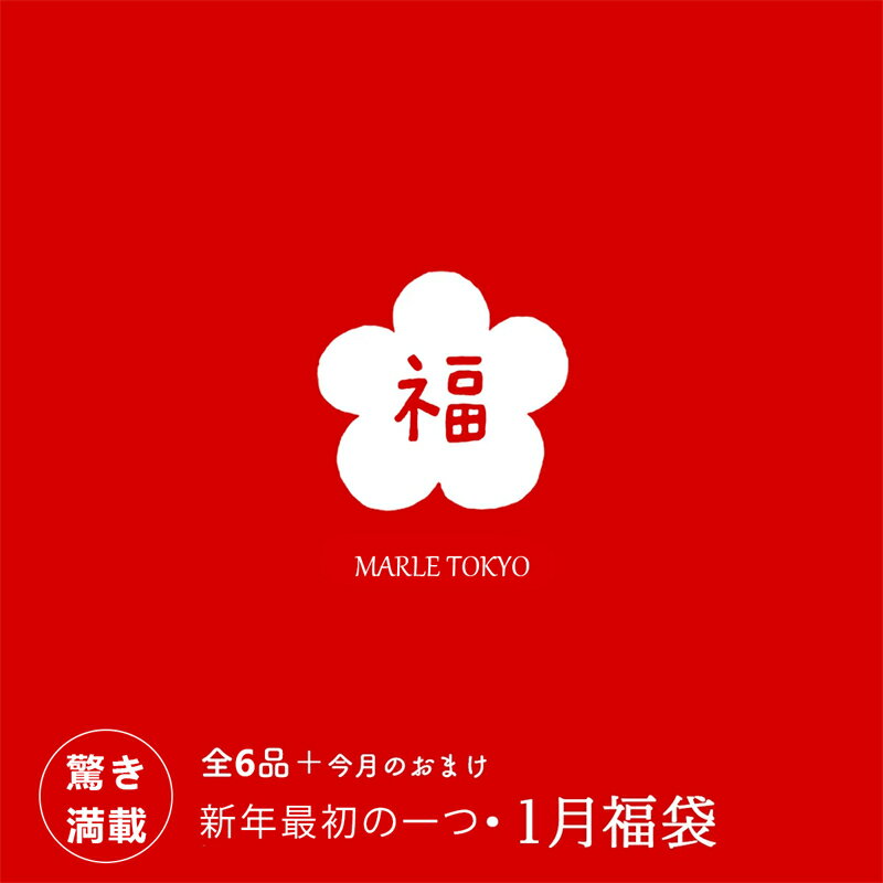 【数量限定！早い者勝ち！】福袋 2026 初売り ラッキーバッグ happybag 中身がわかる福袋 12種類 家族へのプレゼント 新春 正月 福袋 ネタバレ 中身 春先 冬 レディース ストール おもちゃ ハンドバッグ プレゼント