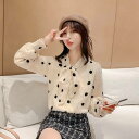 トップス レディース ブラウス シフォン シャツ ドット柄 プルオーバー リボン ボウタイ 長袖 春 秋 冬 10代 20代 30代 かわいい おしゃれ ふんわり きれいめ ブラウス コーデ 無地 アプリコット ベージュ 白 ホワイト ドット ランタンスリーブ ボリューム袖