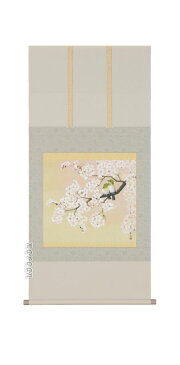 掛け軸/掛軸 桜花(井上清冶)(太巻桐箱入)【送料無料】【代引手数料無料】