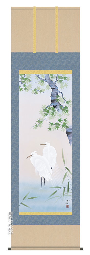 掛け軸／掛軸【四季揃・夏】四季花鳥・楓に白鷺（長江　桂舟）【送料無料】【代引手数料無料】
