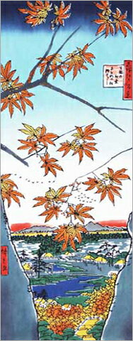 [戸田屋商店]手ぬぐい　歌川広重　名所江戸百景　真間の紅葉　秋柄　紅葉　手ぬぐい(手拭い)・風呂敷(ふろしき)・扇子専門店のサムネイル