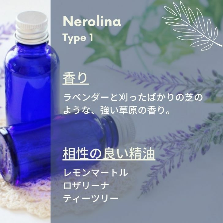 ネロリーナ精油（Type 1）30ml♪無農薬栽培♪エッセンシャルオイル♪疲労やストレス状態の時に使いたい！アロマオイル♪100％ピュアオイル♪【送料無料】