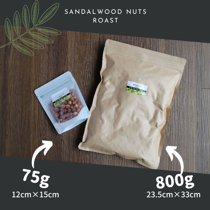 無農薬♪貴重な木からの恵♪サンダルウッドナッツ(75g)白檀の実♪契約農園から直輸入!日本初上陸!健康油♪オメガ油♪【メール便】チャック付きで便利な袋♪