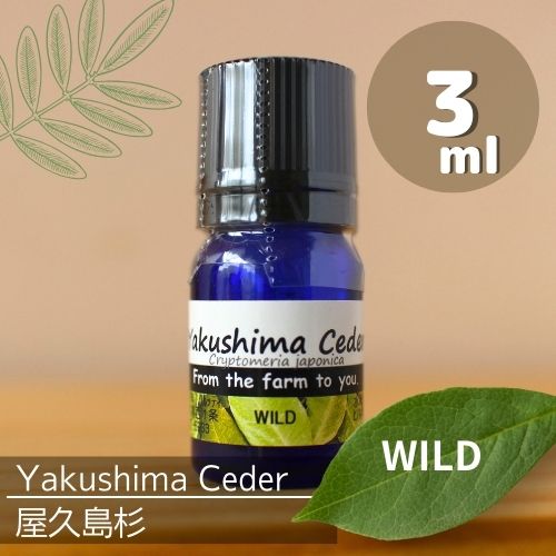 屋久島杉 精油 3ml♪【送料無料】自然の恵♪♪100%ピュア エッセンシャルオイル♪ウッディ系で落ち着く温かみのある香り♪イライラを静めたい時に♪心を落ち着かせる♪アロマオイル♪ 屋久島杉 精油 3ml♪【送料無料】自然の恵♪♪100%ピュア エッセンシャルオイル♪ウッディ系で落ち着く温かみのある香り♪イライラを静めたい時に♪心を落ち着かせる♪アロマオイル♪