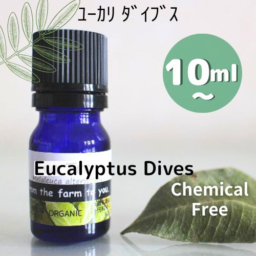 ユーカリ・ダイブス精油 無農薬栽培♪虫よけ♪爽快感♪10ml♪30ml♪100ml♪呼吸器系への働き♪殺菌!消臭!鎮静! 100%ピュア エッセンシャルオイル♪オーストラリアから直輸入♪アロマオイル♪♪【送料無料】 ユーカリ・ダイブス精油 無農薬栽培♪虫よけ♪爽快感♪10ml♪30ml♪100ml♪呼吸器系への働き♪殺菌!消臭!鎮静! 100%ピュア エッセンシャルオイル♪オーストラリアから直輸入♪アロマオイル♪♪【送料無料】
