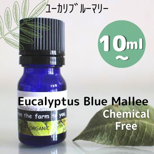 ユーカリ・ブルーマリー精油 ♪無農薬♪10ml 30ml 100ml♪100%ピュア エッセンシャルオイル♪呼吸器系への働き♪(殺菌/消臭/鎮静) 鼻がスーッと通る感じ♪アロマオイル♪【送料無料】 ユーカリ・ブルーマリー精油 ♪無農薬♪10ml 30ml 100ml♪100%ピュア エッセンシャルオイル♪呼吸器系への働き♪(殺菌/消臭/鎮静) 鼻がスーッと通る感じ♪アロマオイル♪【送料無料】