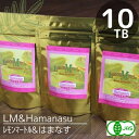 有機JAS認定♪オーガニック栽培♪レモンマートル＆はまなす　ブレンドティー（TB10個入り）北海道産の高級はまなす花びら女性に人気のティー♪ティーバッグの素材も自然由来♪美容♪