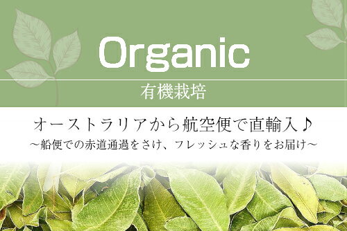 パルマローザ精油 10ml♪オーガニック♪100％ピュア　エッセンシャルオイル♪ローズを思わせる香りを持つ♪美容系の化粧品の香料♪アロマオイル♪殺菌！抗菌！抗不安症！【送料無料】 maronhill-10000264 マロンヒル サンプル画像3
