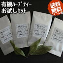 【お試しセット】ティーバッグ2個×4種♪♪癒し系のレモンマートルとのブレンド♪！使用茶葉は全て有機または無農薬♪レモンマートル，ルイボス，ジンジャー，エキナセア♪オーガニックハーブティー♪【送料無料】