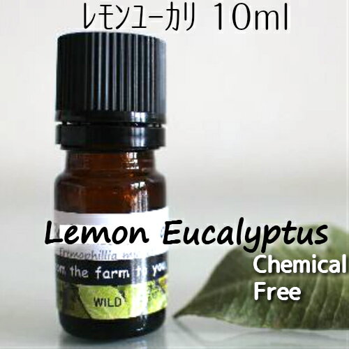 レモン・ユーカリ精油 10ml♪【送料無料】100％ピュア　エッセンシャルオイル♪呼吸器系への働き♪(殺菌/消臭/鎮静)アロマオイル♪　無農薬栽培♪♪オーストラリアから直輸入♪