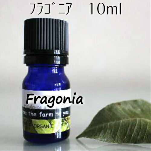 �ե饴�˥����� 10ml�����������ݢ�����100��ԥ奢�����å��󥷥�륪������������������������ˤ��������å����֤䤫�ʹ��������ޥ������������̵����