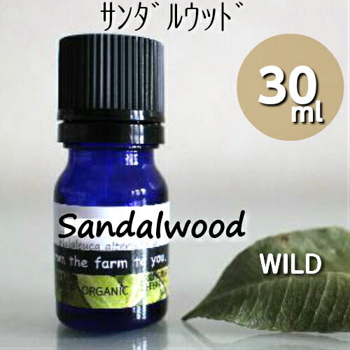 サンダルウッド精油 30ml♪白檀♪【送料無料】自然♪♪100％ピュア　エッセンシャルオイル♪お香でおなじみ♪どっしりとした木の香り♪高級♪貴重♪心が落ち着く♪リラックス♪アロマオイル♪