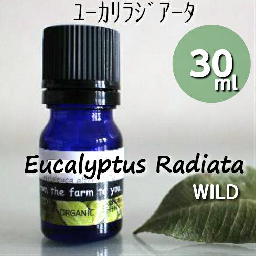 ユーカリ・ラジアータ精油 30ml♪自然♪100％ピュア　エッセンシャルオイル♪呼吸器系への働きで知られる精油♪殺菌/消臭/鎮静アロマオイル♪風邪や花粉症の緩和に♪【送料無料】【使用期限：26年1月】