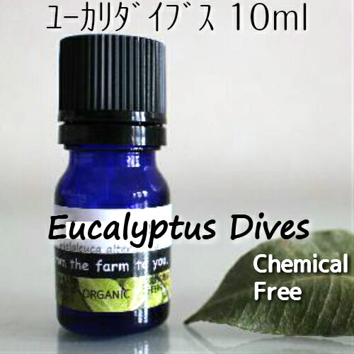 アロマオイルのギフト ユーカリ・ダイブス精油 10ml♪無農薬♪虫よけ♪爽快感♪呼吸器系への働き♪殺菌！消臭！鎮静！　100％ピュア　エッセンシャルオイル♪オーストラリアから直輸入♪アロマオイル♪♪【送料無料】