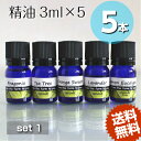 【精油 3ml×5本セット】お得♪100%ピュア エッセンシャルオイル♪めずらしい!フルーツ!ティーツリー系!定番!ユーカリ系!各1本♪フラゴニア♪オレンジ♪テ...
