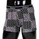 Hanes ボクサーブリーフ 24FW グローバルバリューライン ヘインズ(HM6EU201) 24FW ヘインズ