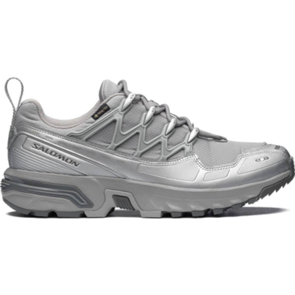 Rakuten - SALOMON ACS+ GORE-TEX(Alloy / Castlerock / Ftw Silver)
