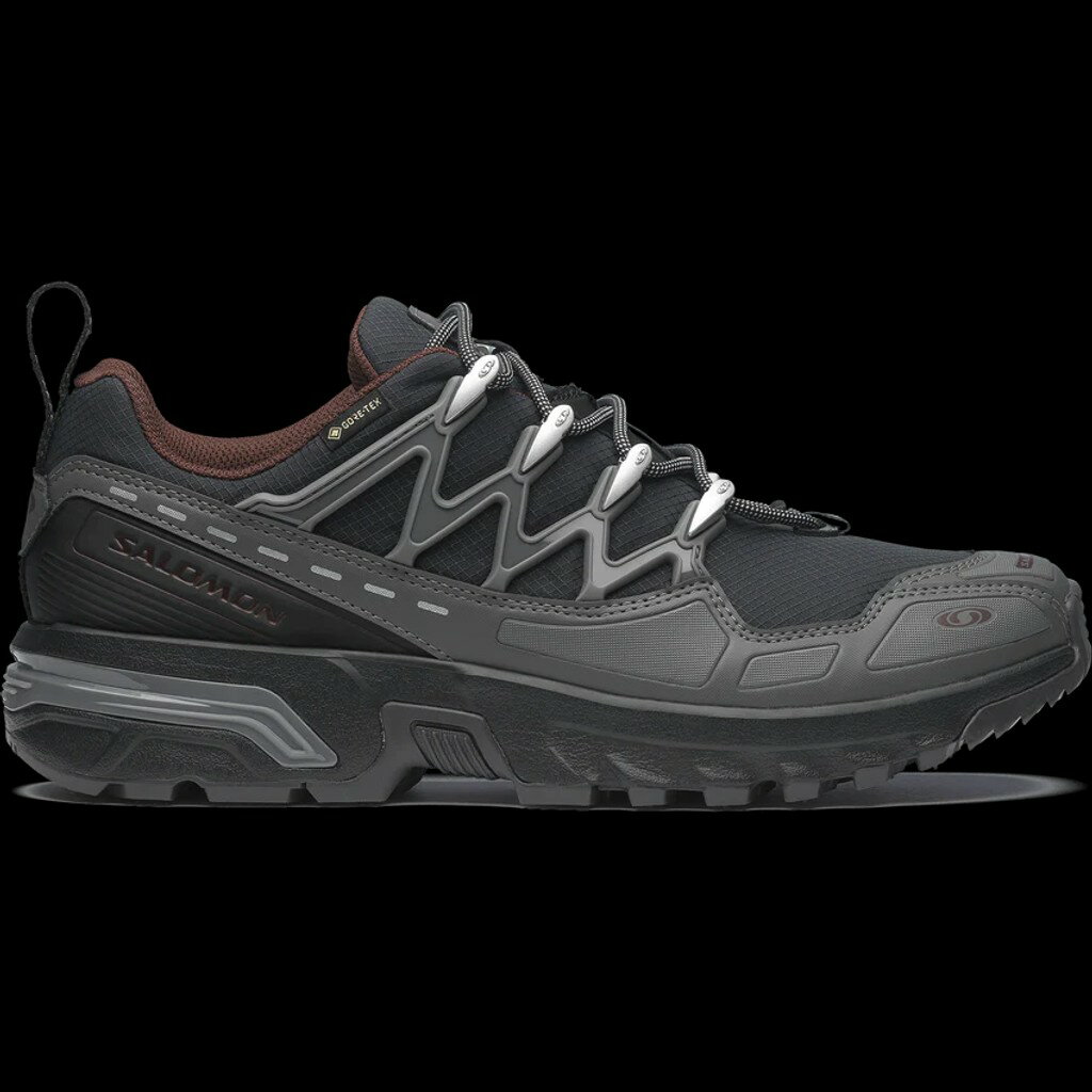 Rakuten - SALOMON ACS+ GORE-TEX(Black / Castlerock / Rum Raisin)