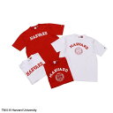 Champion ティーテンイレブン ショートスリーブTシャツ 25SS MADE IN USA チャンピオン(C5-B307)