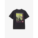 THE NORTH FACE ショートスリーブフラッシュドライセブンサミットグラフィックティー(ユニセックス)
