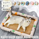 【レビュー特典あり】 ペットベッド 夏用 ひんやりシート 寝ござ ペットマット 犬猫兼用 暑さ対策 お昼寝ベッド 熱中症防止 ペットクッション 涼感 猫ベッド ...