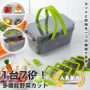 【お得な22点セットあり】【13種類のブレード】野菜スライサー セット フードプロセッサー フードプロセッサー 千切りスライサー みじん切り キッチンスライサー...
