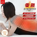 【クーポンで422円お得!】 電気毛布 掛け敷き ホットマット 電気パット 76*40cm 洗える タイマー付き 6段階温度 抗菌防臭 ダニ退治 自動電源オフ 丸洗い 一人用 速熱 一人暮らし 掛け 電気ひざ掛け 肩掛け 膝掛け 毛布 寒さ対策グッズ クリスマス 誕生日 ギフト プレゼント